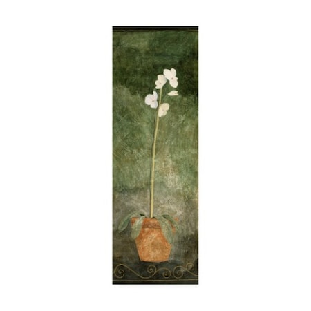 Pablo Esteban 'White Orchid In Pot On Green' Canvas Art,6x19